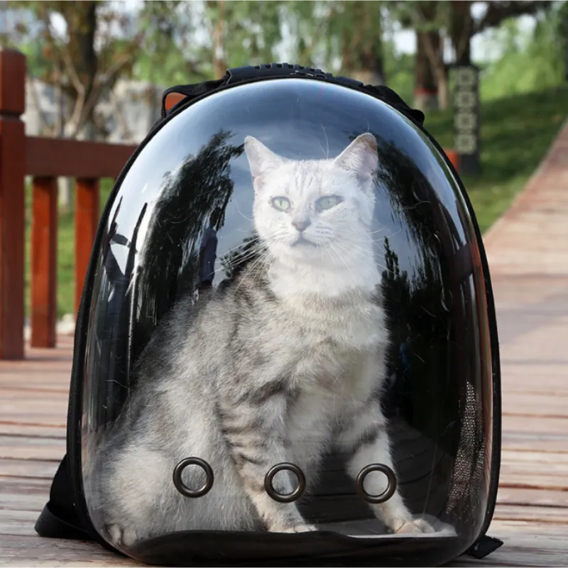 Manufacturer directly supplies cat bags, pet backpacks, portable and transparent space capsules, cat supplies, breathable backpa